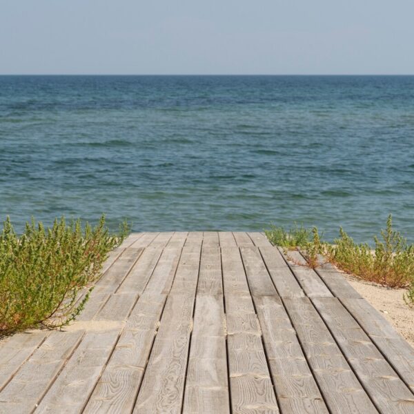 Un sendero de madera que conduce hacia el océano, rodeado de vegetación costera.